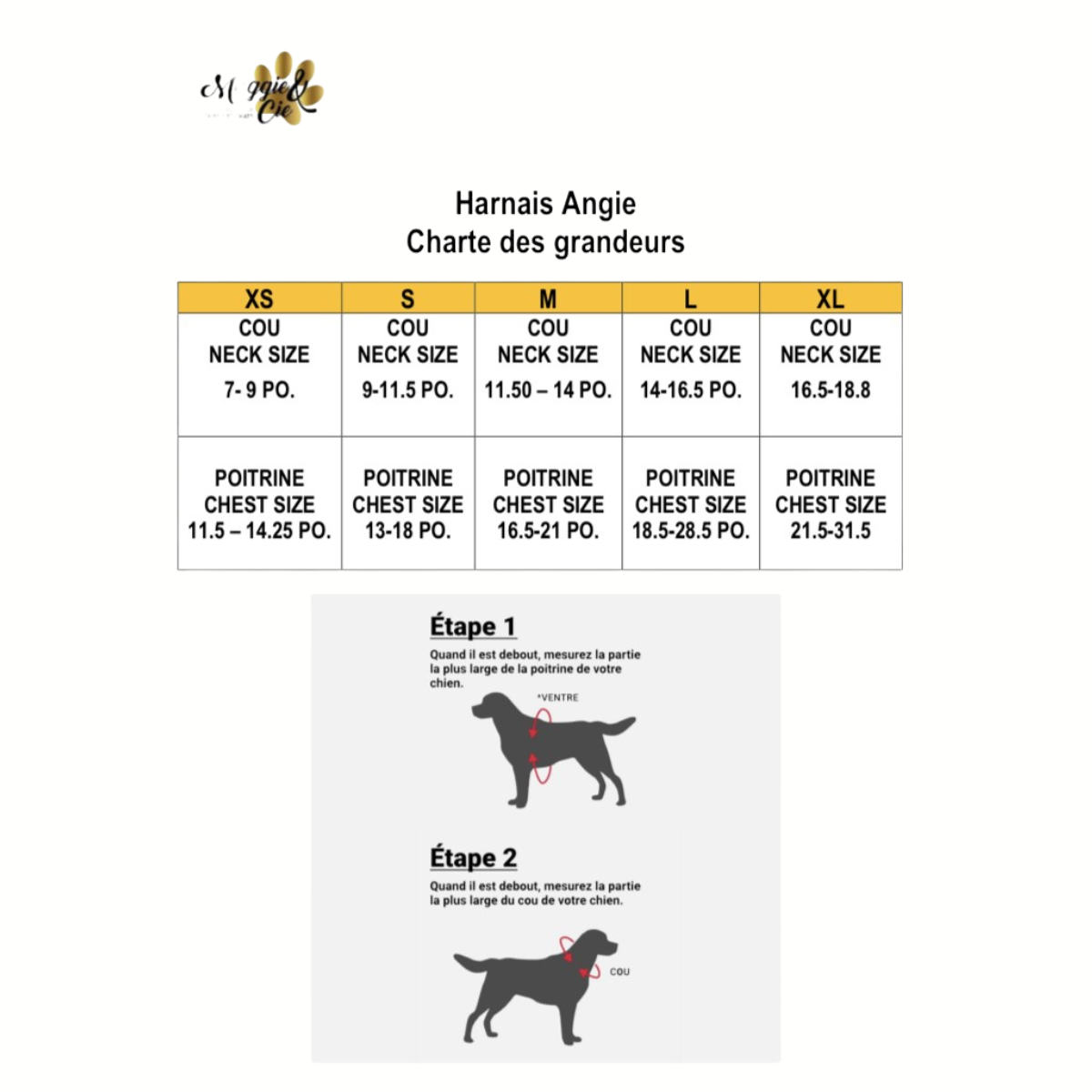 Harnais - APPRENTI SORCIER