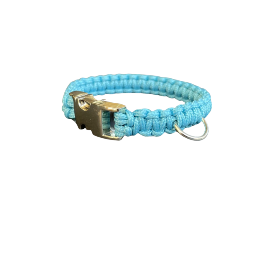 TURQUOISE - Pour chats et petits chiens