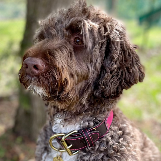 Collier en cuir DULCIE