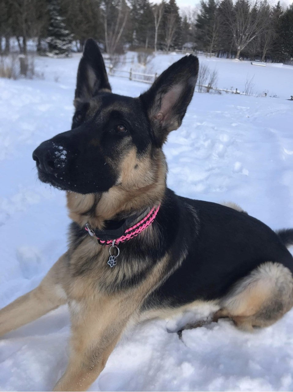 ROSIE