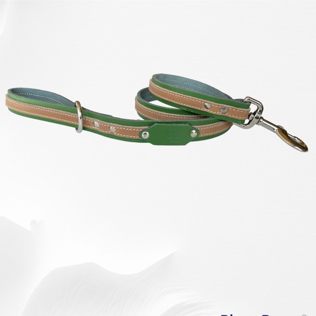 Laisse en cuir NOVA