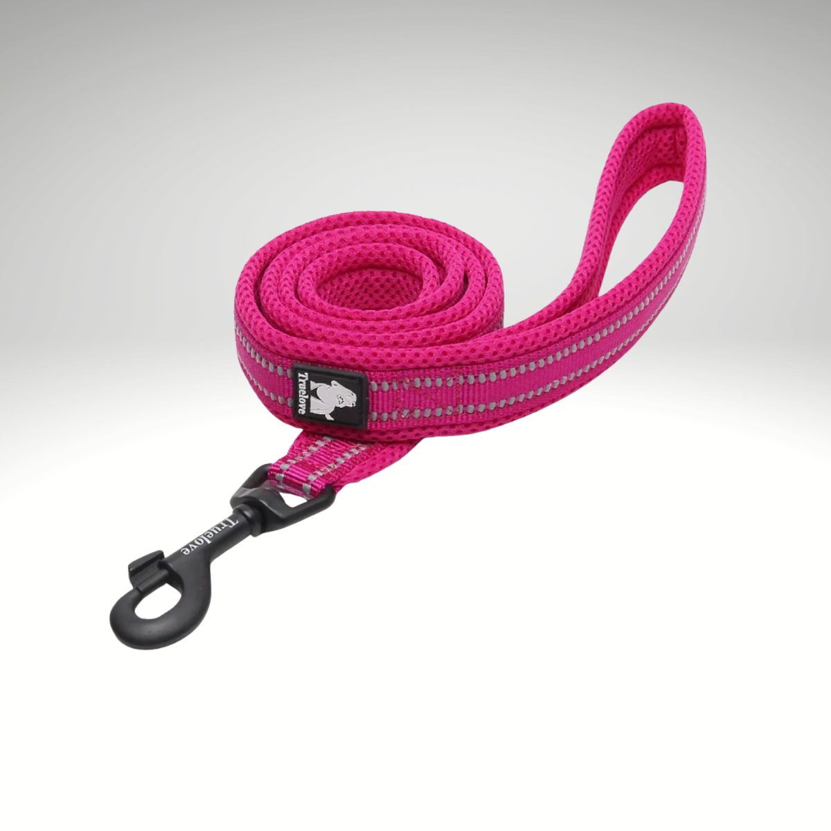 LAISSE ROSE EN NYLON SOUPLE RÉFLICHISSANTE - Truelove