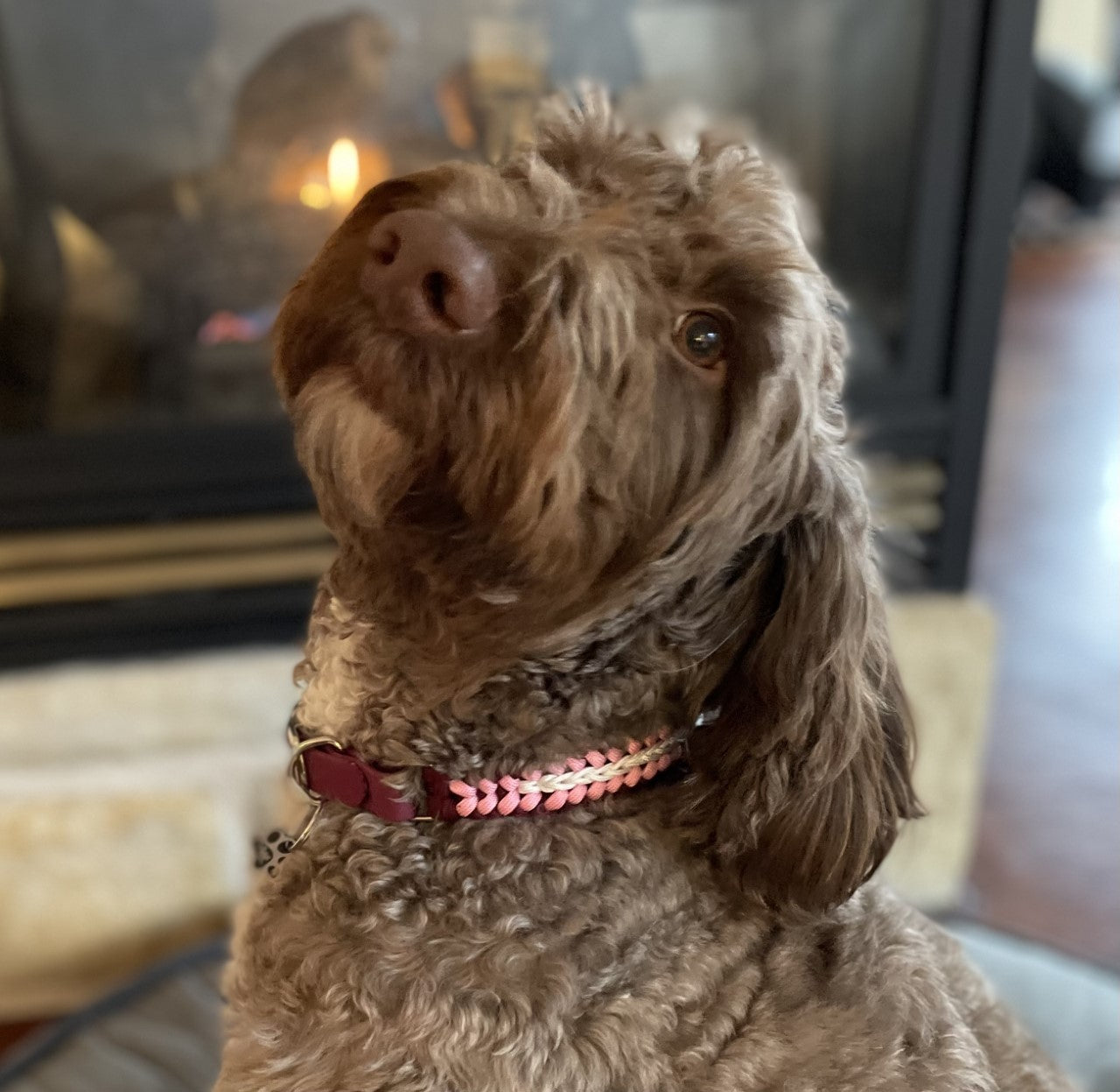 LILI