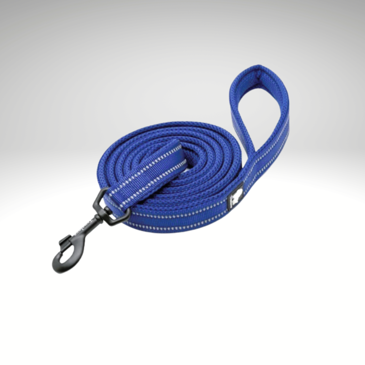 LAISSE BLEU EN NYLON SOUPLE RÉFLICHISSANTE - Truelove