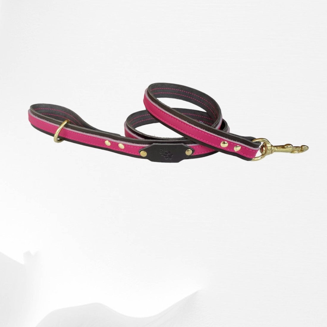 Laisse en cuir DULCIE